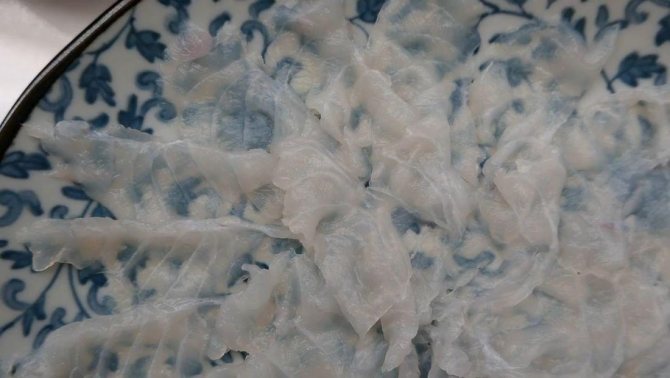 Рыба фугу: путь из аквариума в тарелку