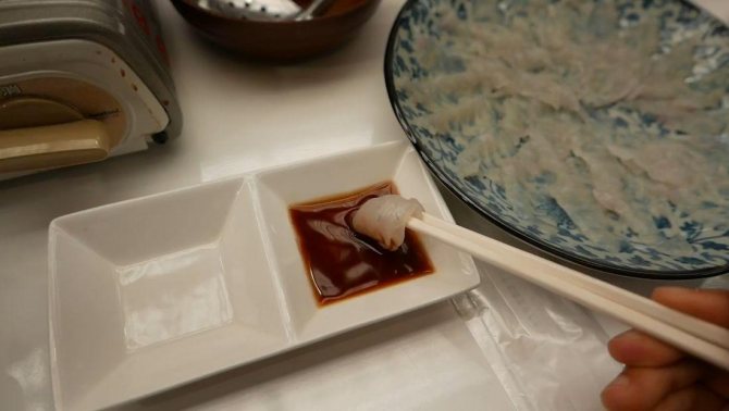 Рыба фугу: путь из аквариума в тарелку