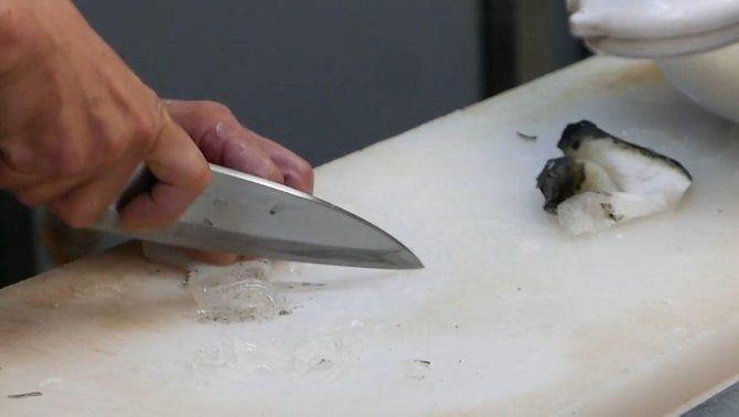 Рыба фугу: путь из аквариума в тарелку