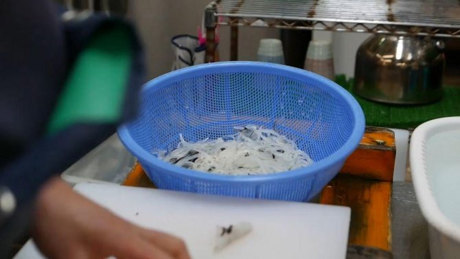 Рыба фугу: путь из аквариума в тарелку