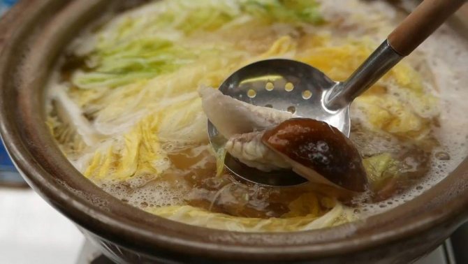 Рыба фугу: путь из аквариума в тарелку