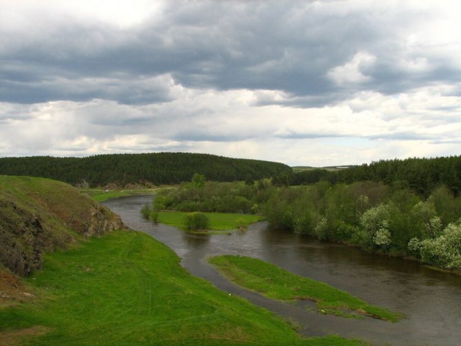 разнообразие природы