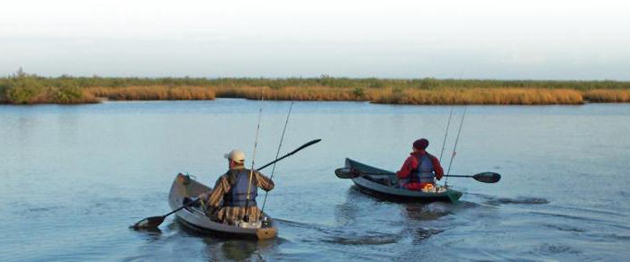 рыба пелядь где ее водили в россии