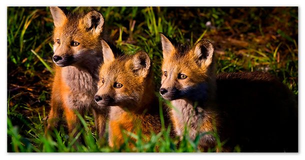 Красные бандиты.