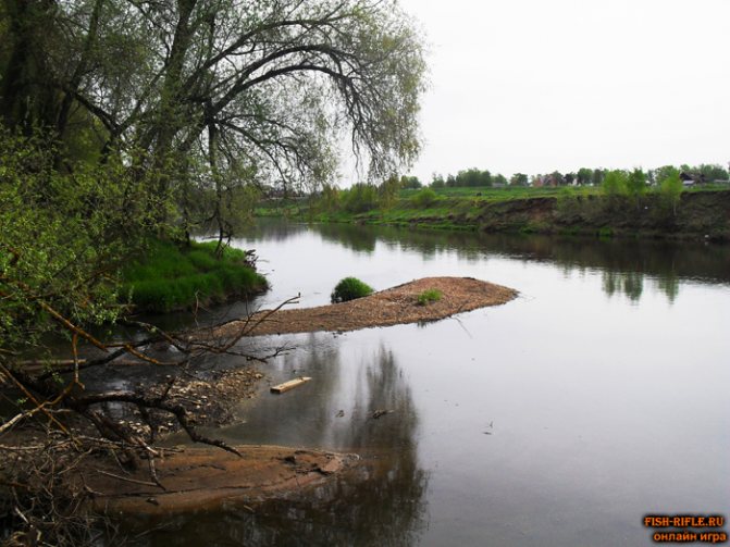 Рыбалка в Тульской области и Туле