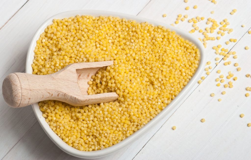 Можно ли собакам кукурузу и кукурузную кашу, и как лучше давать: вареную или сырую