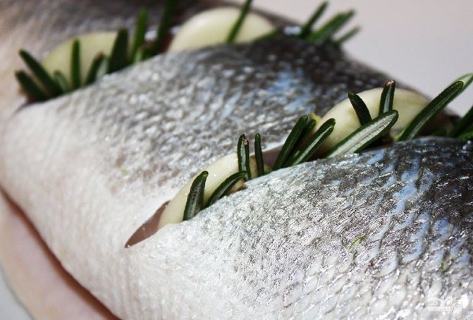 Польза и вред сайды