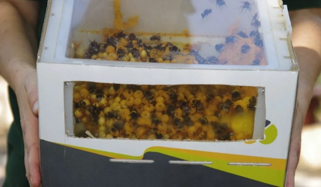 Пакет хмеля