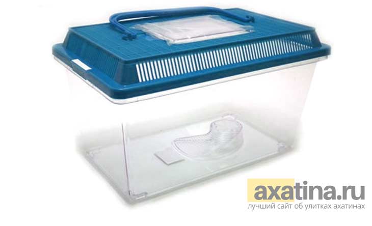 Террариум для ахатин. CC0