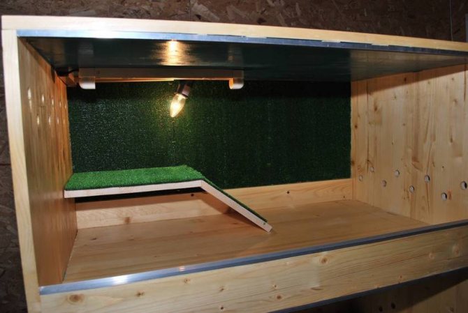 Террариум для сухопутного варана