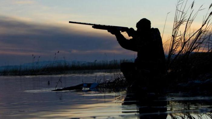 виды кряквы