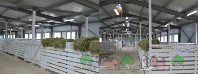 Как называется помещение, где живут овцы?