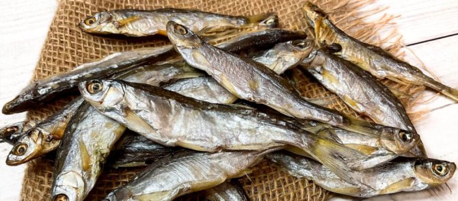 Вяленая уклейка