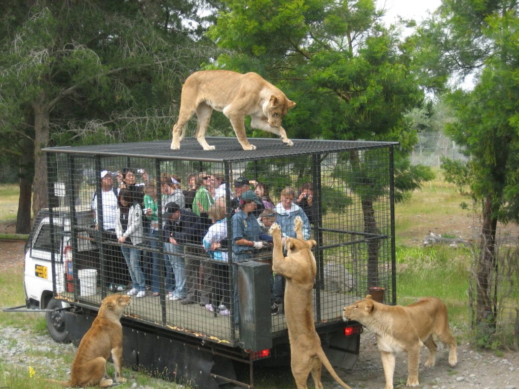 Взаимодействие с людьми