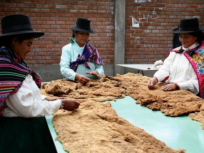 Очистка шерсти