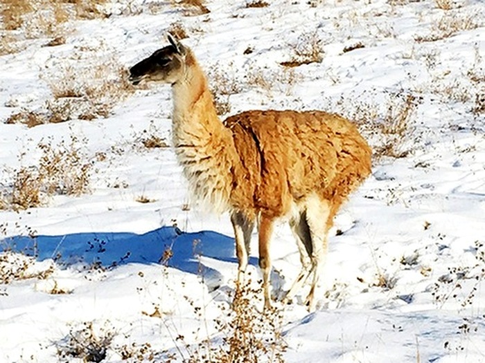 Зима не страшна