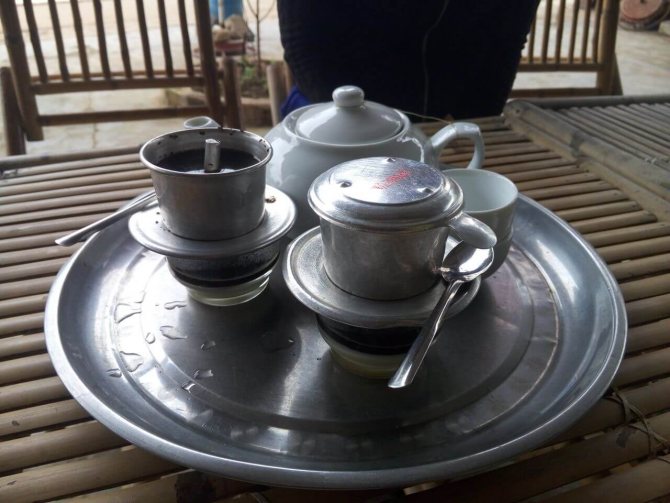 Мусанг: описание животного, особенности, виды, среда обитания