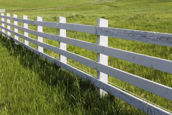 Забор загона для овец